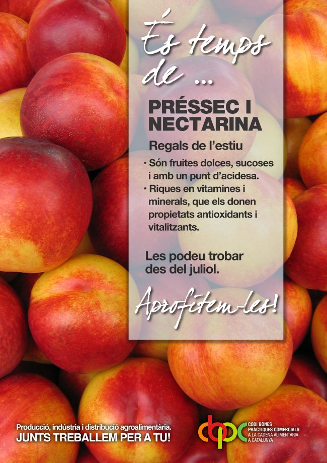 Melocotón y nectarina - Fruta de verano - AGEM