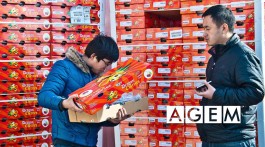 Mercado de la fruta en china - AGEM