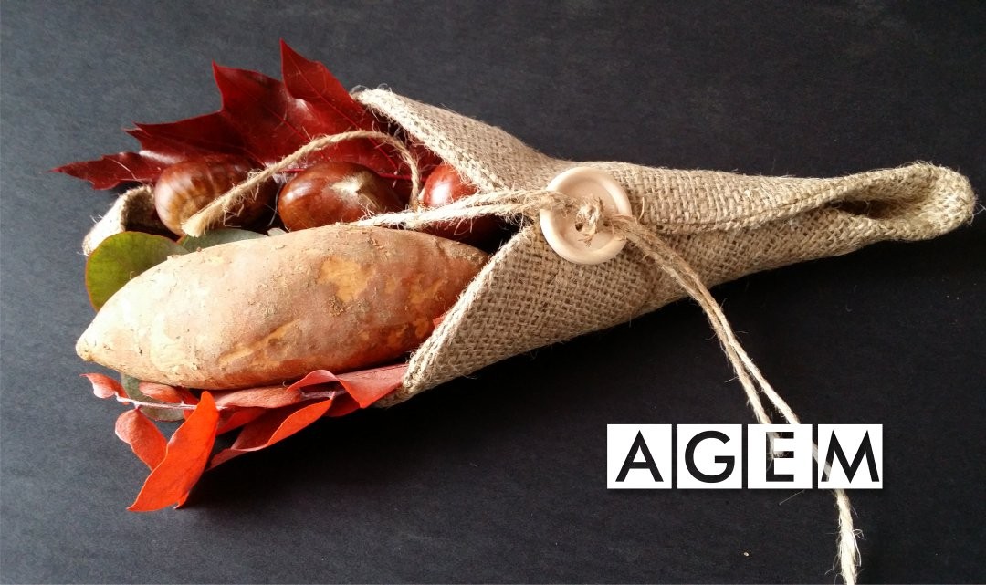 Frutas de otoño - castañada - AGEM - Frutas y hortalizas