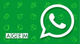 Whatsapp AGEM Mercabarna