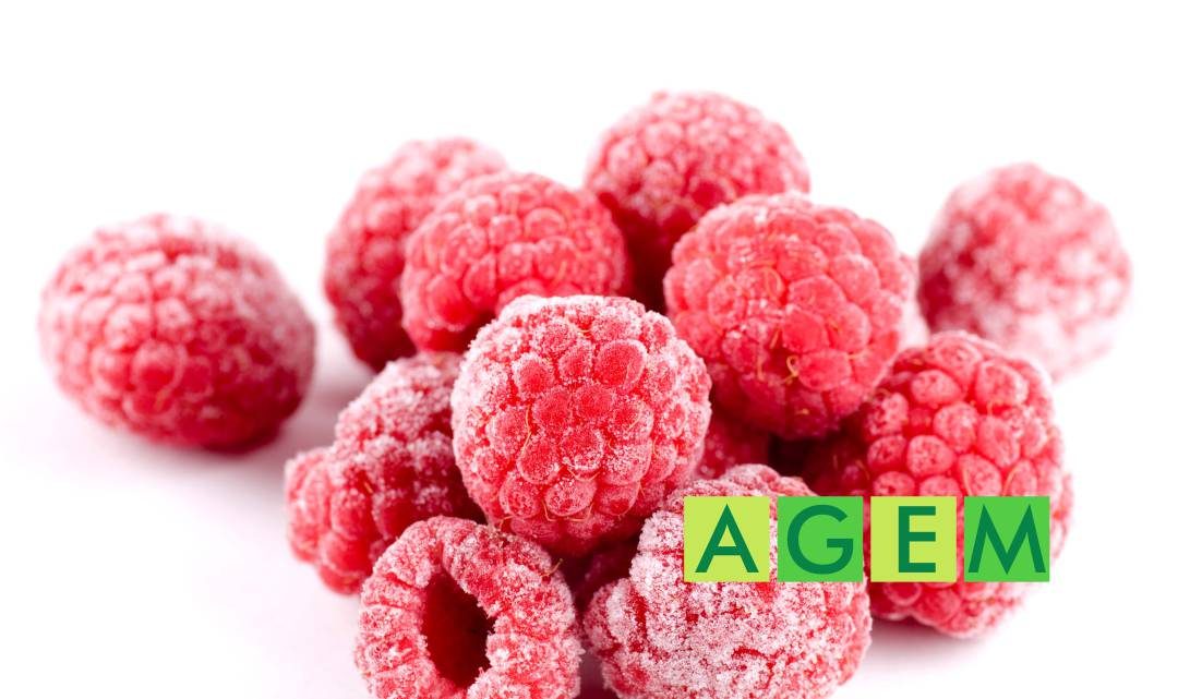 La fruta congelada - AGEM - Mercabarna - Mayoristas de Frutas y Verduras