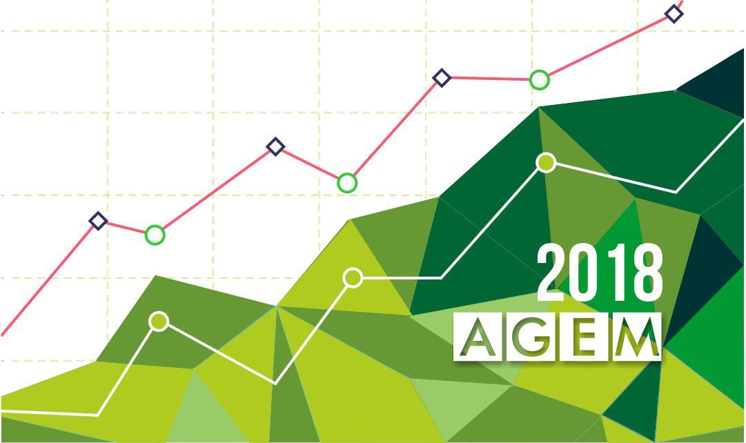 Estadísticas AGEM web 2018 - AGEM - Mercabarna - Mayoristas de frutas y hortalizas