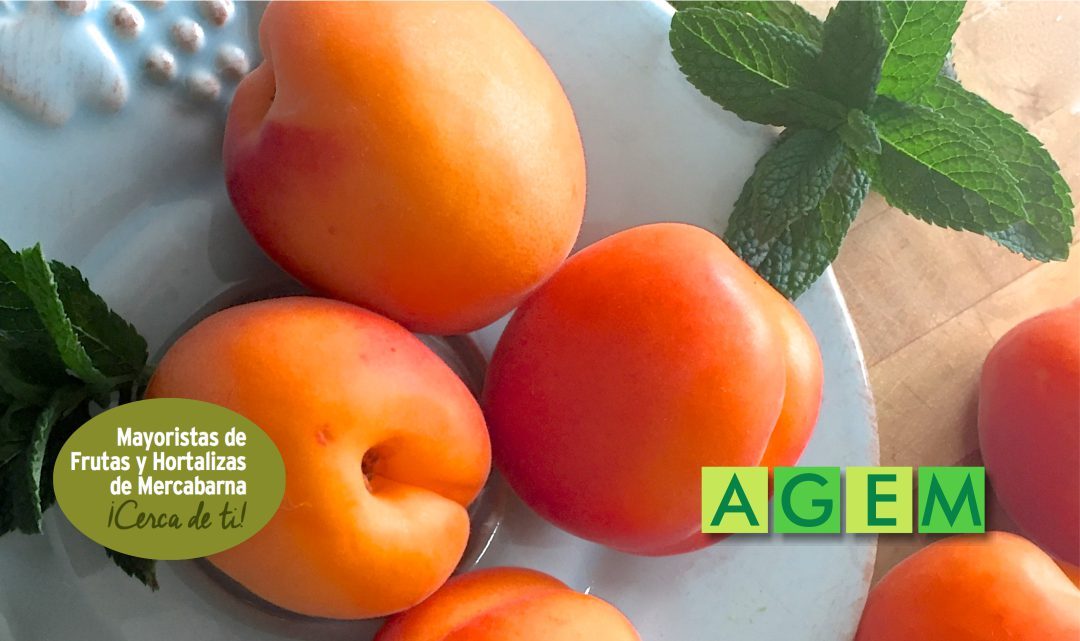 Descubre el secreto más bien guardado para conservar de forma óptima la fruta en verano -AGEM - Mercabarna - Mayoristas de frutas y hortalizas JUNIO 18