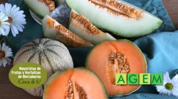 El melón y sus variedades - AGEM - Mercabarna - Mayoristas de Frutas y Hortalizas