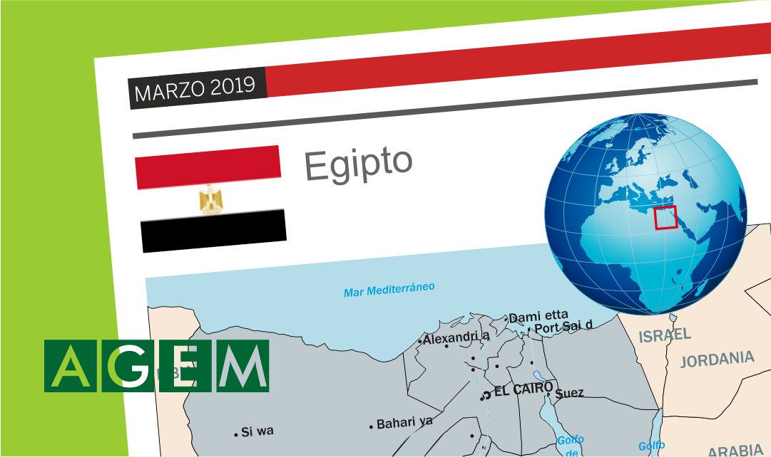 FICHA DE PAIS EGIPTO - AGEM - Mercabarna - Mayoristas de frutas y hortalizas