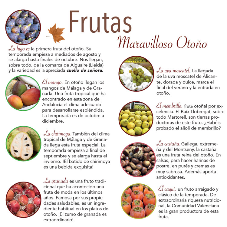 Guia de Frutos de Otoño - AGEM - Mercabarna - Mayoristas de Frutas y Hortalizas -1t_esp