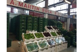 Logo para A. MARTIN SOLA, SL. Logo para A. MARTIN SOLA, SL.