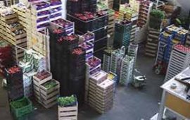 Fotografía de Fruites del baix Llobregat,S.L. Fotografía de Fruites del baix Llobregat,S.L.