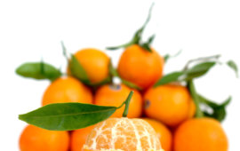 Fotografía de Fruits Nules S.L Fotografía de Fruits Nules S.L