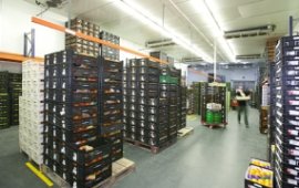 Fotografía de FRUITS SAGARRA GRUP Fotografía de FRUITS SAGARRA GRUP