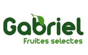 Logo para Frutas y Hortalizas Gabriel Seguro Roig, S.L. Logo para Frutas y Hortalizas Gabriel Seguro Roig, S.L.