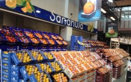 Fotografía de Hnos. Sanahuja S.L. Fotografía de Hnos. Sanahuja S.L.