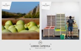Fotografía de Llorens Capdevila, S.A. Fotografía de Llorens Capdevila, S.A.