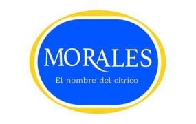 Logo para MORALES E HIJOS, S.A. Logo para MORALES E HIJOS, S.A.