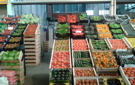 Fotografía de NAVARRETE FRUITS S.C.C.L. Fotografía de NAVARRETE FRUITS S.C.C.L.