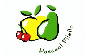 Logo para PASCUAL FILELLA, S.A. Logo para PASCUAL FILELLA, S.A.