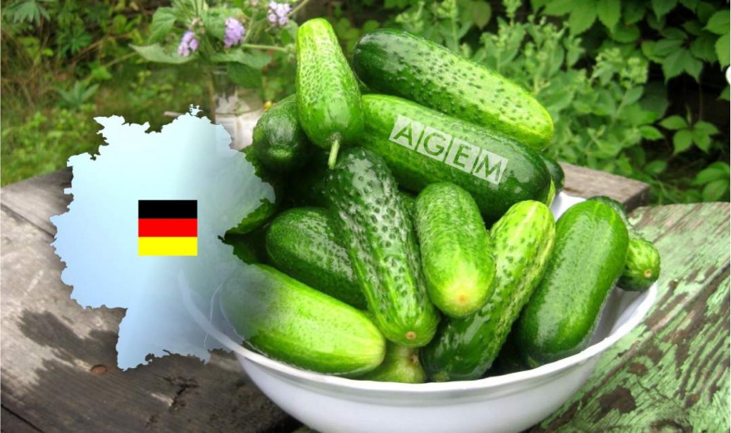 LA COMERCIALIZACIÓN DE FRUTAS Y HORTALIZAS EN ALEMANIA