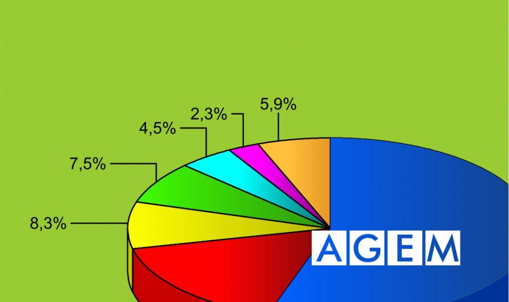 Informe Estadistico UE - AGEM