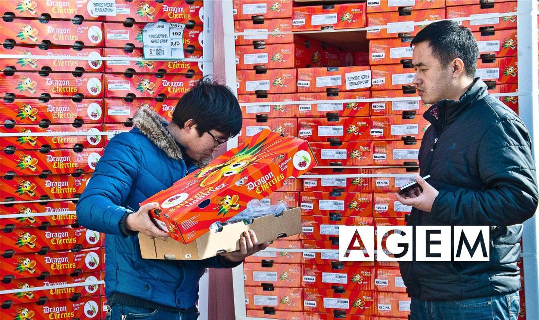 Mercado de la fruta en china - AGEM