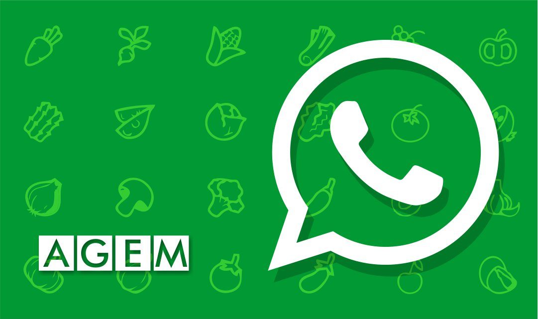 Whatsapp AGEM Mercabarna