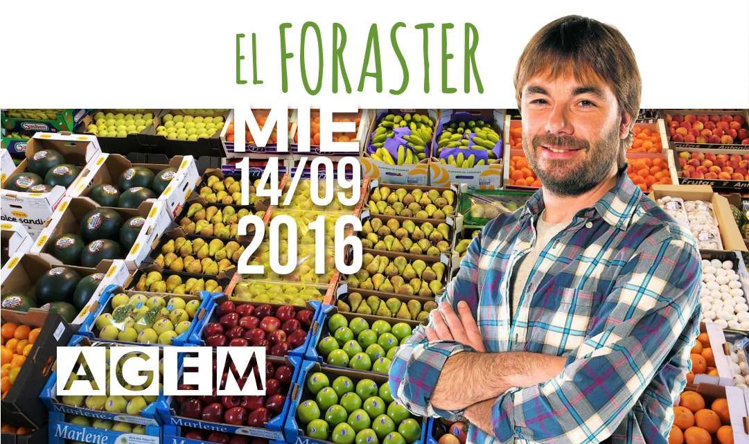 El foraster en Mercabarna