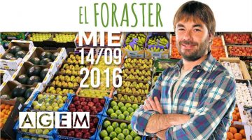 El foraster en Mercabarna