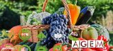 Curso de marketing de productos ecológicos - AGEM - Mercabarna