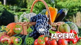 Curso de marketing de productos ecológicos - AGEM - Mercabarna
