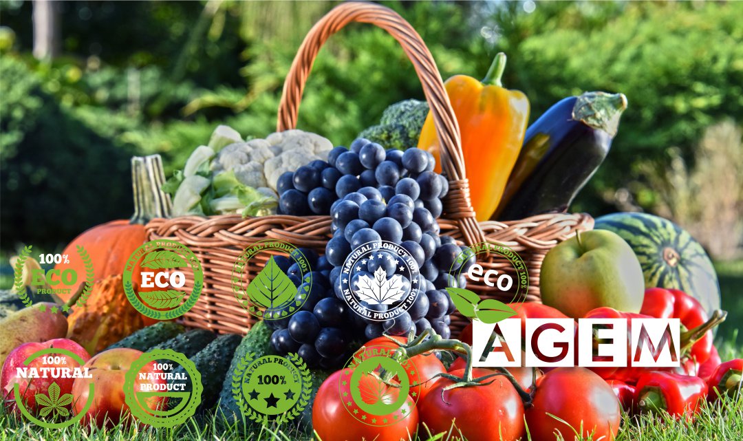 Curso de marketing de productos ecológicos - AGEM - Mercabarna