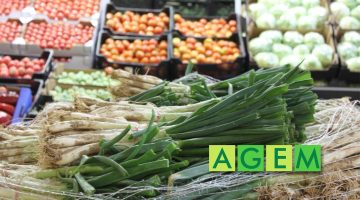 Nota de Prensa - Temporada de Calçots - AGEM - Mercabarna