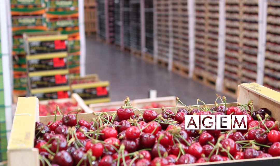 Las Cerezas alimento indispensable - AGEM - Mercabarna - Mayoristas de frutas y hortalizas - JUNIO 18