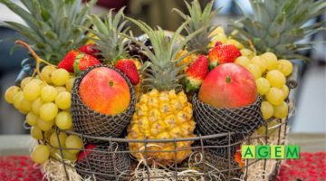 Frutas Tropicales en Navidad - Diciembre - AGEM - Mercabarna - Mayoristas de frutas y hortalizas