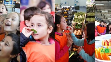 El programa educativo pionero en España cumple 20 años - Marzo 2019 - AGEM - Mercabarna - Mayoristas de frutas y hortalizas