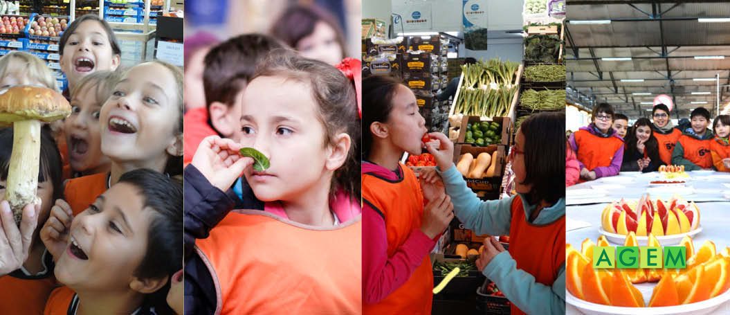 El programa educativo pionero en España cumple 20 años - Marzo 2019 - AGEM - Mercabarna - Mayoristas de frutas y hortalizas