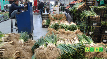 Temporada de calçots en Paris - AGEM - Mercabarna - Mayoristas de frutas y hortalizas en Barcelona