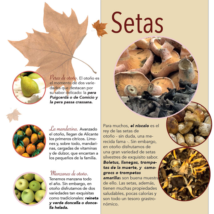 Guia de Frutos de Otoño - AGEM - Mercabarna - Mayoristas de Frutas y Hortalizas -1t_esp