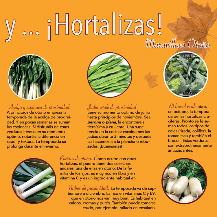 Guia de Frutos de Otoño - AGEM - Mercabarna - Mayoristas de Frutas y Hortalizas -1t_esp