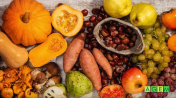 Maravilloso Otoño - AGEM - Mercabarna - Mayoristas de Frutas y Hortalizas - Octubre 2020