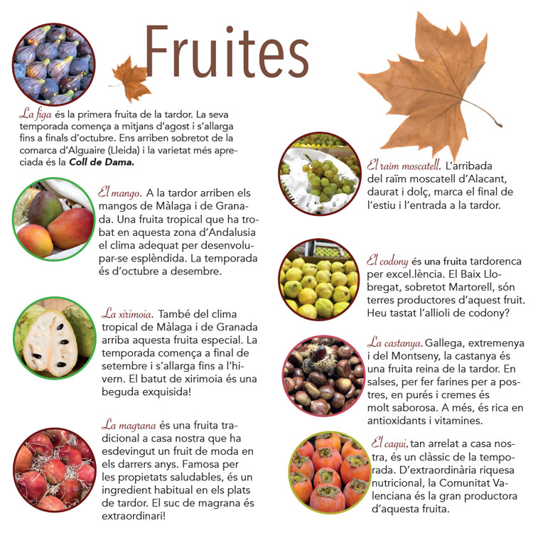 Guia de Frutos de Otoño - AGEM - Mercabarna - Mayoristas de Frutas y Hortalizas Guia de Frutos de Otoño - AGEM - Mercabarna - Mayoristas de Frutas y Hortalizas