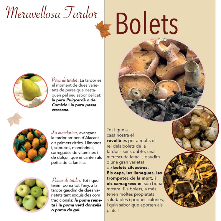 Guia de Frutos de Otoño - AGEM - Mercabarna - Mayoristas de Frutas y Hortalizas Guia de Frutos de Otoño - AGEM - Mercabarna - Mayoristas de Frutas y Hortalizas