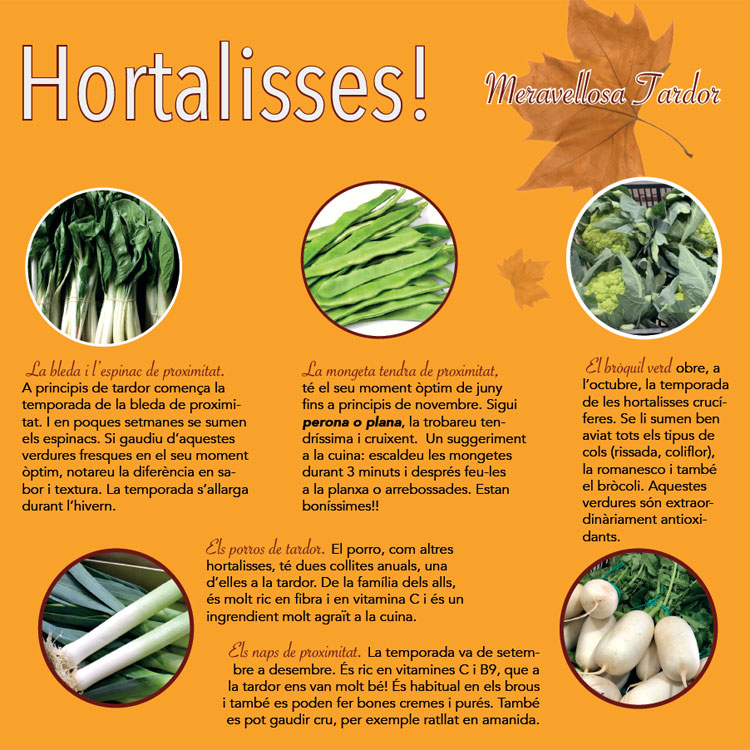 Guia de Frutos de Otoño - AGEM - Mercabarna - Mayoristas de Frutas y Hortalizas