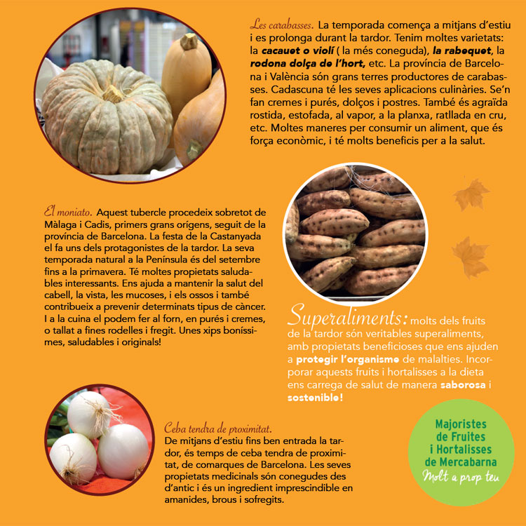 Guia de Frutos de Otoño - AGEM - Mercabarna - Mayoristas de Frutas y Hortalizas Guia de Frutos de Otoño - AGEM - Mercabarna - Mayoristas de Frutas y Hortalizas