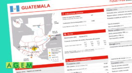 FICHA-DE-PAIS-GUATEMALA-2021-AGEM-Mercabarna - Mayoristas de frutas y hortalizas