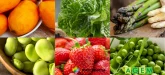 Come Primavera - Guía de Recetas de Primavera AGEM 2023
