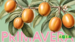 AGEM Mercabarna PRIMAVERA - A qué sabe la primavera