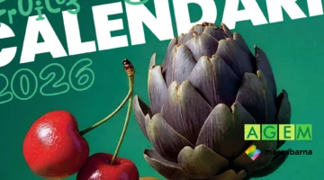 AGEM 2026 - Calendari Majoristes de Fruites i Hortalisses - AGEM MERCABARNA